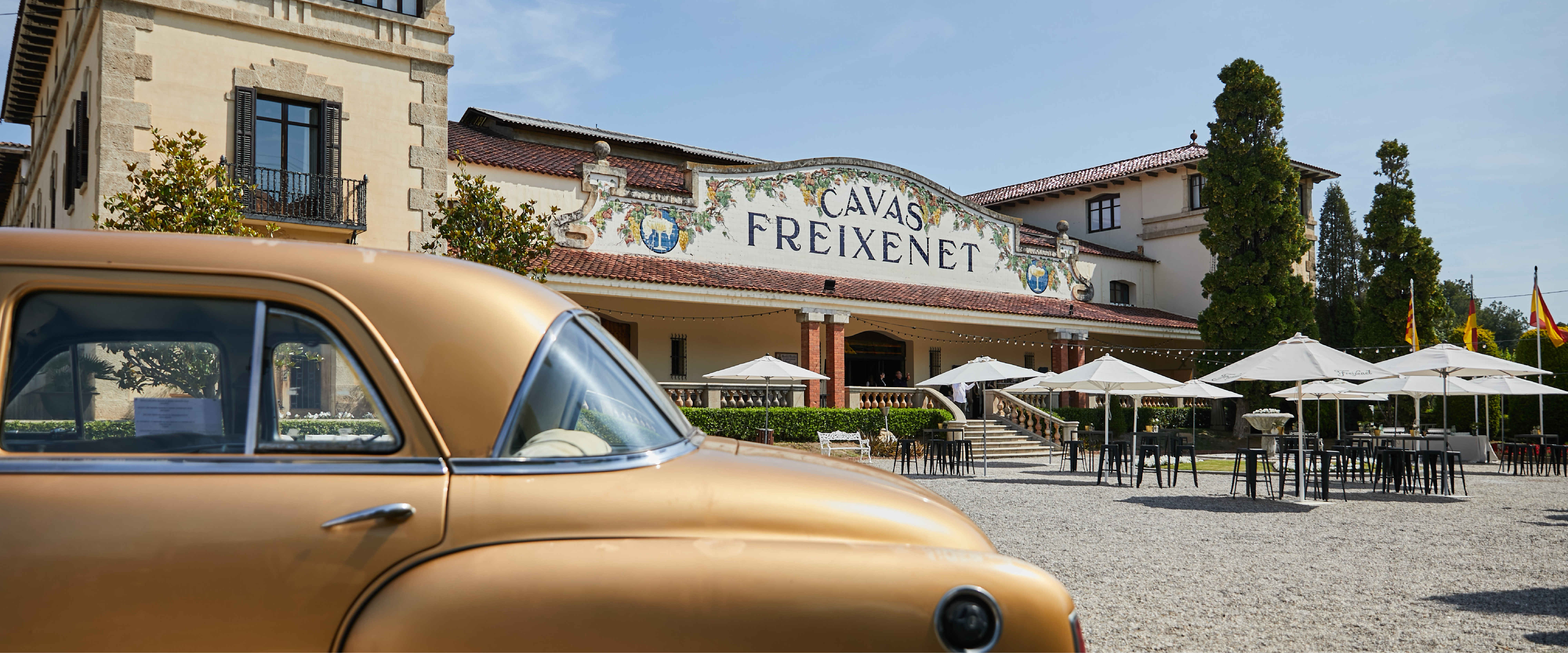 Cava Freixenet 1